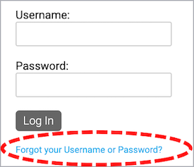 Login form on the Admin portal shows the Forgot Your Username or Password option circled