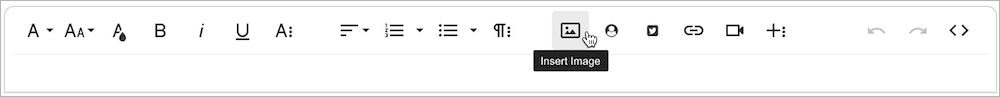 Text editor toolbar shows the Insert Image button